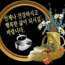 ♤♡동치미 금방 먹을수 있게담기♤♡ 이미지