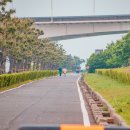 하단동1153 이미지