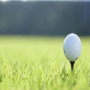 오션실내골프연습장 이미지