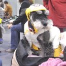 도리도리펫샵 | 2012년 국제 애완동물 용품 박람회 후기 1