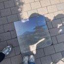 가와구치코 당일여행 A to Z 완전 정복 (후지산 포토존, 센겐 공원, 전기자전거 대여, 가와구치코 맛집)