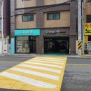 살롱드독 이미지