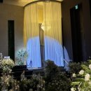 위더스 | 영등포 위더스 웨딩홀 홀투어 후기(26년 견적 공유O)