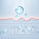 이선생뷰티 이미지