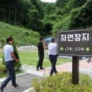 호국원묘역2 이미지