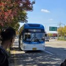 충주시엄정보건지소 | 2025년 11월 1일 38번국도 시내버스일주 LITE (1일차) (요약)