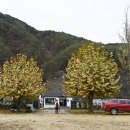 두메송하마을 이미지