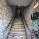 제노피시방 이미지