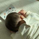 새봄어린이집 | [이마트문화센터] 북이랑 놀이랑 겨울학기☃️❄️