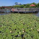 안성맞춤랜드 이미지