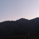 상석 농장 이미지