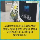 속초보광장례식장 네이버블로그