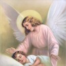 (주)수호천사 이미지