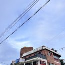 물회세상 | 물회 하나로 포항이 내 세상이 됐어, 해궁회타운 방문 후기