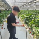 대룡태권도장 이미지