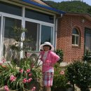 샛터민박 이미지