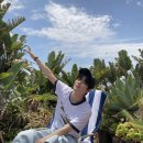 승민 카카오 검색결과