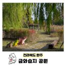 금와습지 생태공원 이미지