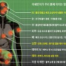 미세먼지, 폐뿐 아니라 뇌·심장도 공격한다 이미지