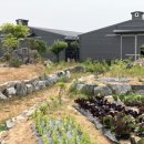 파주흑염소농장 이미지