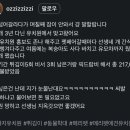 메리펫 네이버블로그