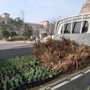 경은농장 이미지