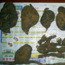 보두농장 이미지