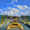 플라워캠핑장 이미지