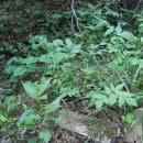 조양초등학교 이미지