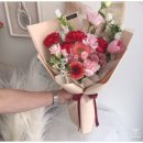 레플레르 이미지