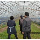 최고집농장 이미지