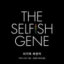 성의문화사 이미지