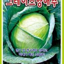 그린종묘농약사 이미지