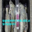 임여사수산 이미지