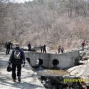 성 금 사