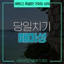 하단지구대 옆 교통섬 내 1 | 거제 여행 매미성! 뚜벅이 여행자의 부산 출발 당일치기 후기