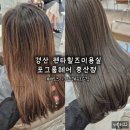 펜타힐즈2로 | 중산동 펜타힐즈 미용실 포그룸 헤어 매트 브라운 염색 후기