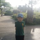 더불어사는터 이미지