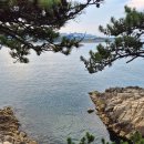 일산해수욕장8(수산물판매센터근처) | 일산 수산물 판매센터 대왕암공원 근처 해산물 식당 맛집