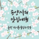 춘천 술집추천 석사동 애막골 하이볼 술집 수컷웅 춘천강원대점