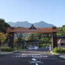 계룡산 갑사자동차야영장 이미지