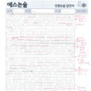 선일논술