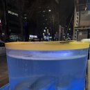 오니