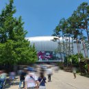 신혜분식 | [불꽃야구] 창단 두 번째 직관 경기! 고척스카이돔 외야 지정석 후기