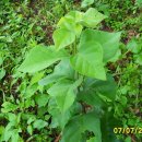 신반지업사 이미지