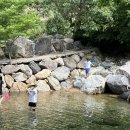 사지목 나무그늘 이미지