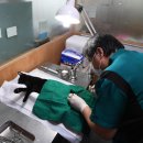 도야동물병원 이미지