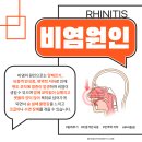 올바른이비인후과의원 이미지