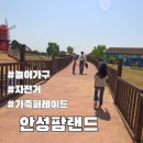 안성팜랜드 놀이기구 가축퍼레이드 유채꽃 자전거 아이랑 가볼만한곳 후기