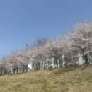 우리나현유치원 네이버블로그